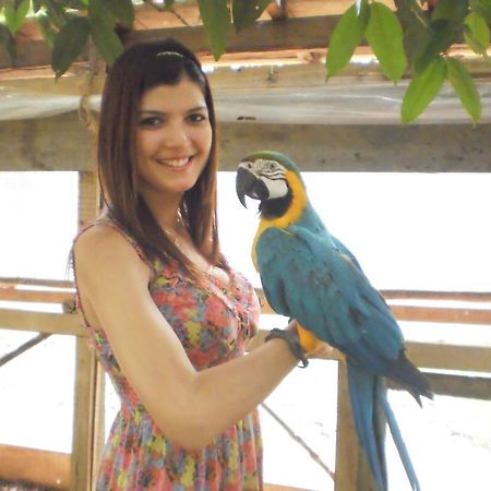 Amazon Rainforest Lodge Padre Cocha Esterno foto