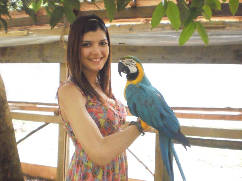 Amazon Rainforest Lodge Padre Cocha Esterno foto